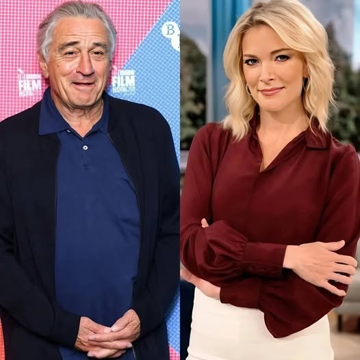 Robert De Niro’s Statement Stuns the Entire Studio with Shocking 8-Words after Megyn Kelly bluntly called him ‘Extremely stupid’ on television!