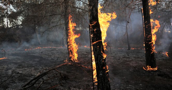 Firefighters killed by sniper after being lured to fire