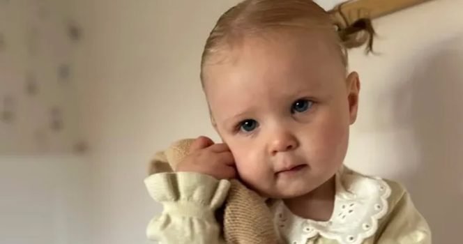 Girl, 2, dies after falling in pond during family Christmas gathering